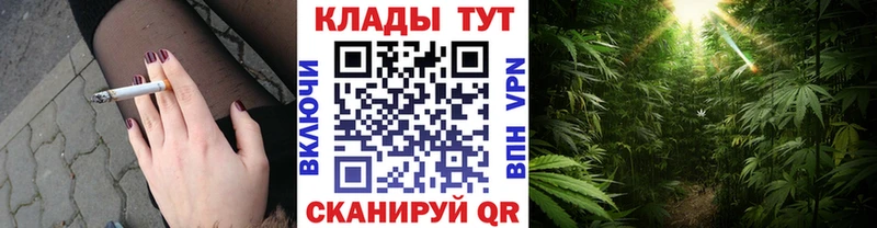 Где продают наркотики Нальчик mega рабочий сайт СК Канабис ГАШИШ КОКАИН