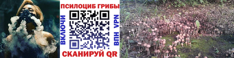 Галлюциногенные грибы мицелий Нальчик