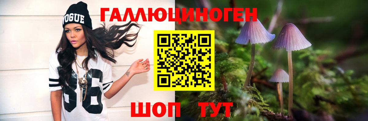 Псилоцибиновые грибы Magic Shrooms  Галлюциногенные грибы ЛСД  Вход с VPN  Нальчик 