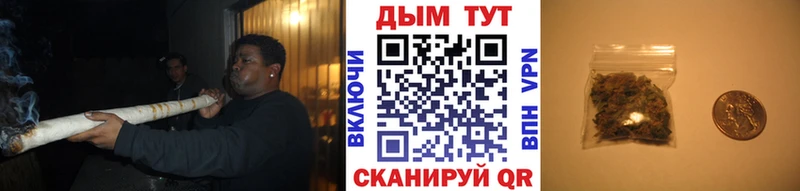Шишки марихуана марихуана  Нальчик 