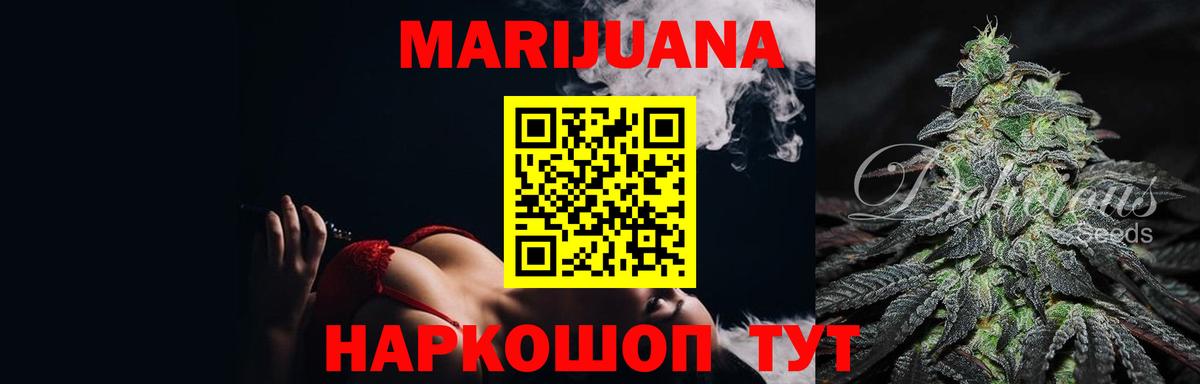 Бошки Шишки планчик Нальчик